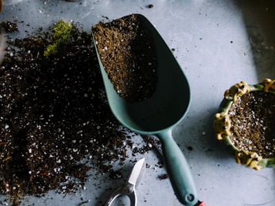The Complete Guide to Composting at Home