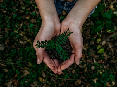 10 Simple Ways to Reduce Plastic Waste in Your Daily Life